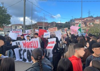 Gli studenti in protesta a Vibo Valentia, allo svincolo A2 di Sant'Onofrio, insieme agli agricoltori